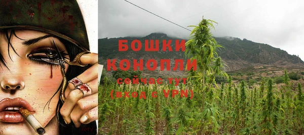 MESCALINE Белокуриха