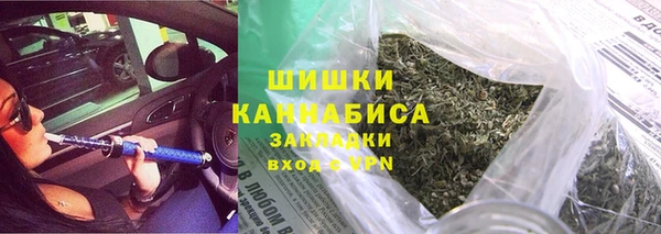 PSILOCYBIN Богданович