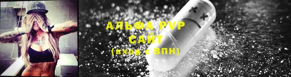 СК Богородицк