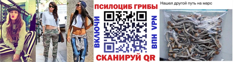Галлюциногенные грибы MAGIC MUSHROOMS  купить наркотики цена  Буинск 