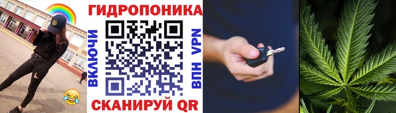 блэк спрут   Буинск  Бошки Шишки Amnesia 